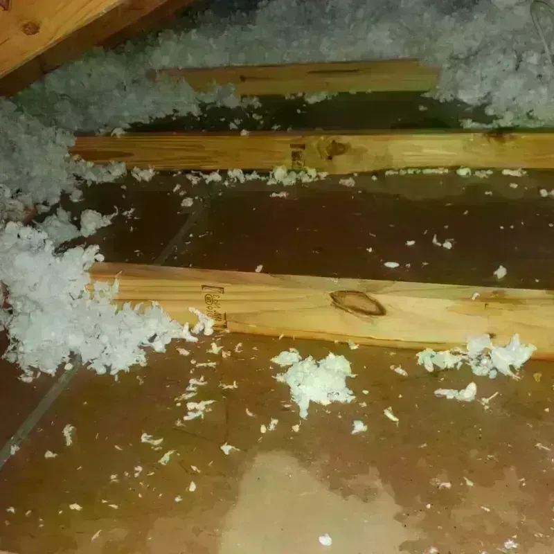 Attic Water Damage in Fayette County, TN